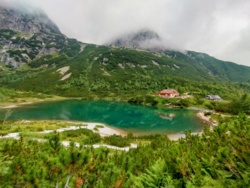 ab39b71c-804c-48c9-9cb5-b3664c168963