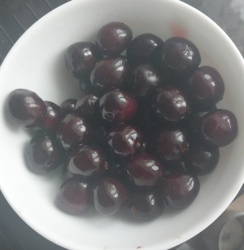 58f84392-ed7f-4d26-8f30-394a0cf8456f