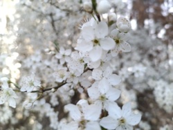 20464fd3-5a07-4cf6-bb50-9ddf22c58f76