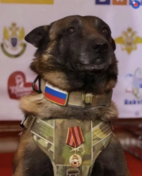 f74be758-a735-4ce8-b390-0ad6500bb357