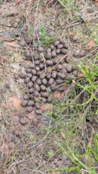 d38afab7-0754-441e-9676-e6156ec50221