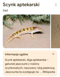 62b20f4f-03b0-4d3f-b0da-127c7b6b4372