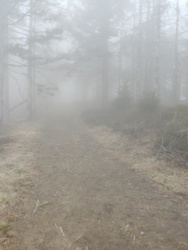 5b0c47cb-dc61-4910-a8cd-f2412960f361