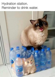 9c1a0129-1dbd-4724-8814-c6eb456c5577