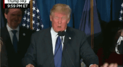 03ebf924-343c-4e25-aed2-cc337b112677