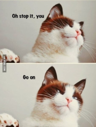 dd20c6e0-cf64-4017-a0ba-f99e29bf62ea