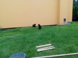 e687f85a-a811-4d9f-970a-704bfd87a8d3