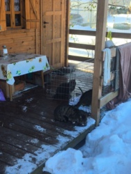 e19d5b18-e213-4e6f-a739-0f6ce15ca801