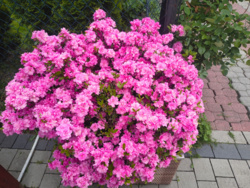 60bf6ca8-5c0e-4f9b-b3e1-3804ab3afd87