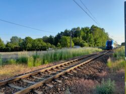 19f755a5-82b5-4249-9d0a-d793b05450aa