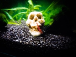 5b754d2f-2beb-4e94-a1a7-37358d5188df