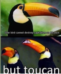 951b79e6-1f8f-4cd5-821e-50ff42fb4116