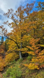 3e39c9ed-110e-4d9a-927f-c4563764b172