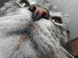 1c98951b-b953-4edf-ac01-4ccbb119db2b