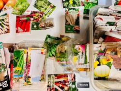 4336e884-0288-45fe-8601-5acc806b1609