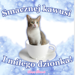 46af986a-64bf-4b90-ad96-a33b9ca6ca25