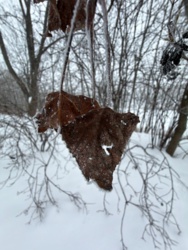 70c51898-fc95-48b3-8850-899585499297