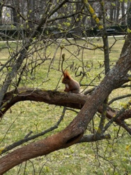 de47a090-07fb-4636-848b-3ff0ceaaccf6