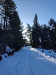 797ad2d4-8c97-44d7-865c-d232bf76400c