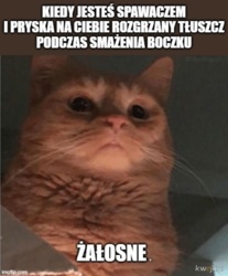 f3dc7362-fc04-4377-98e6-4b085fc58a72