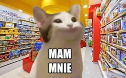 8da7e5f3-d155-42e0-91b6-eecff9e59504