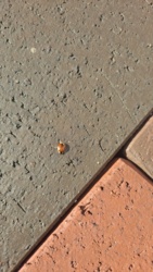 6e226d65-3664-428f-af36-6b407d1576f2