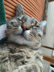 82c5a7ae-bcb8-40ad-ba22-4b853e91db31