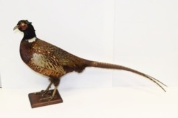 346734fe-f510-4e45-87c8-13ac79c2588b