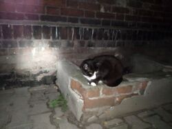 f8d49c6e-a942-459c-af43-847fd61a2a85