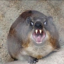 4eef95cc-0d28-451e-b2f9-22ed432c2fa3