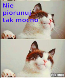 5751e91b-f863-4900-8107-2c06cc955c8a