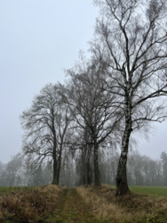 3b9c7523-6994-494c-9bdb-35e23f97284c