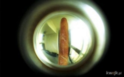 03f8ba06-5e62-429a-acbd-e7a6b798ca31