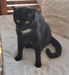 4ee40ad5-af90-4601-81c3-8f3178c9574c