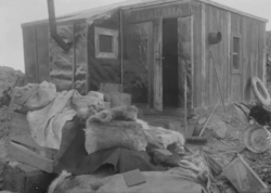 885299c7-f957-4c0c-bf3b-6abf529dd2fe