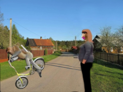 b1c822ba-d4c0-4954-8bff-0bb1c8721421