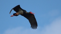 fc32f6f8-808f-4891-913b-a00dbcd7d547