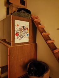 d3b81198-8bba-4300-98d3-23198eac5b11