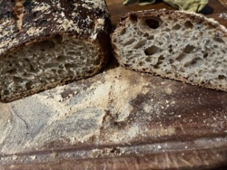 77db31af-2b6d-460d-bbfd-cb3ed97aa600