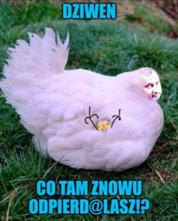 f91e0871-0cb3-4f95-ba0e-3909b2ccf79b