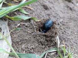 7dcbeaa2-0d3c-4b2f-ba0d-f7d9c46bd66e