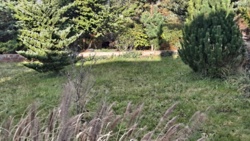 581fe4e1-fbfa-49f5-b029-e75c531cab27