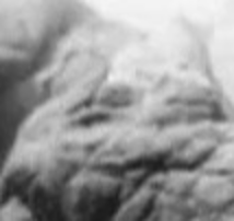 9b77dceb-e008-45cc-9ee8-2d09fa4b1cd0