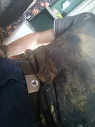 89e01c21-dafe-4143-b936-c1f62f8af1d8