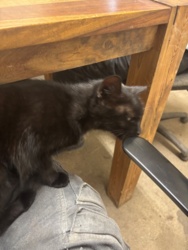 739ea208-44cf-4afd-9331-8a379f748786