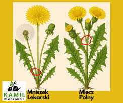 3a1080c3-5d77-4bfb-8beb-7b8a86d49c26