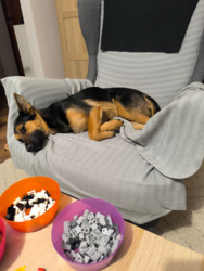 4ad8dbdc-5cb3-4062-800c-c21c455f2664