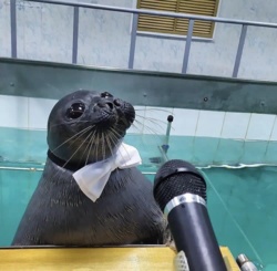 9ca09a26-bd29-4a0c-9b0f-219eacfe1c5e