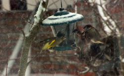 35a14242-d3a6-41c8-854a-9493cd8b22ca