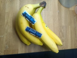 19012d97-46be-4bd2-8e36-9b2c669dd993